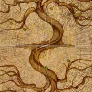 Meet your Posher, Wesley